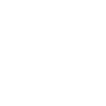 RUGER